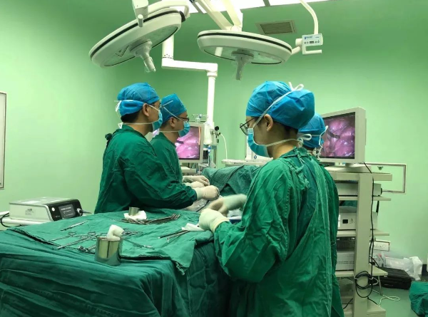 1692954546232182.png image.png