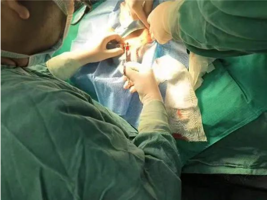 1697163098876613.png image.png