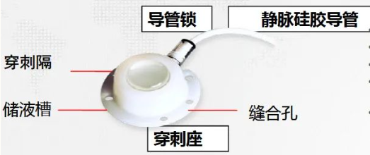 1697163150929712.png image.png