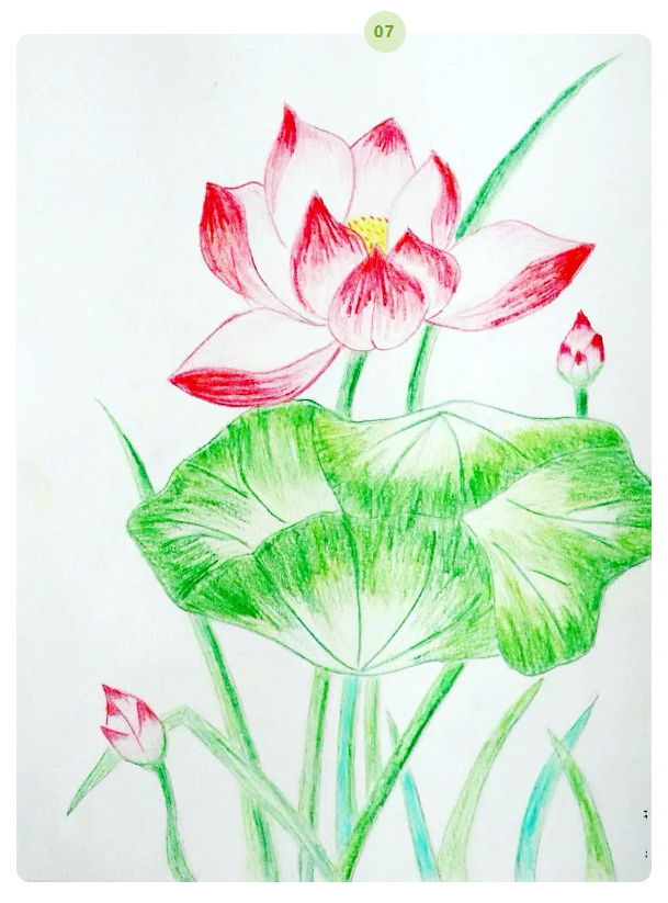 1718069100456607.png image.png