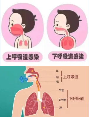 1726041092150543.png image.png