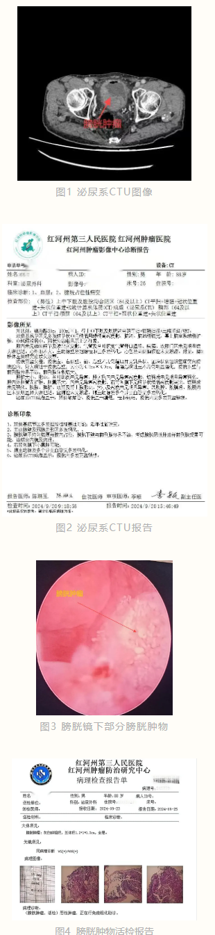 1730339081733086.png image.png