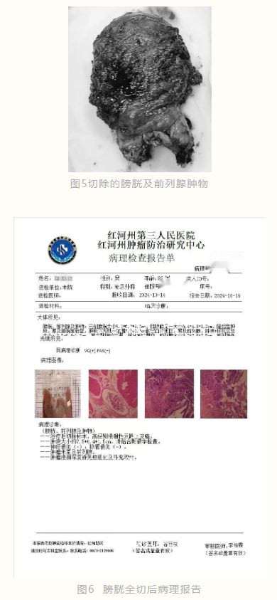 1730339108704851.png image.png