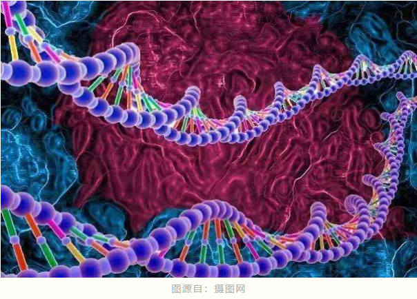 1731309816156158.png image.png