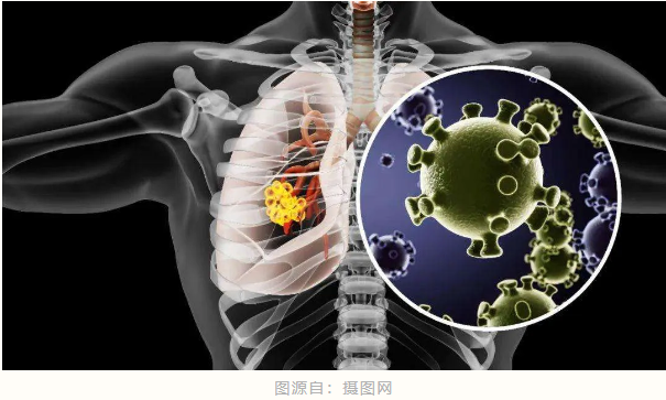 1731309851628227.png image.png