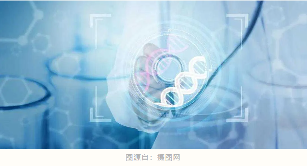 1731310020423652.png image.png