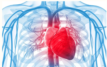 1742280865491468.png image.png