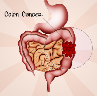 1746704355643589.png image.png