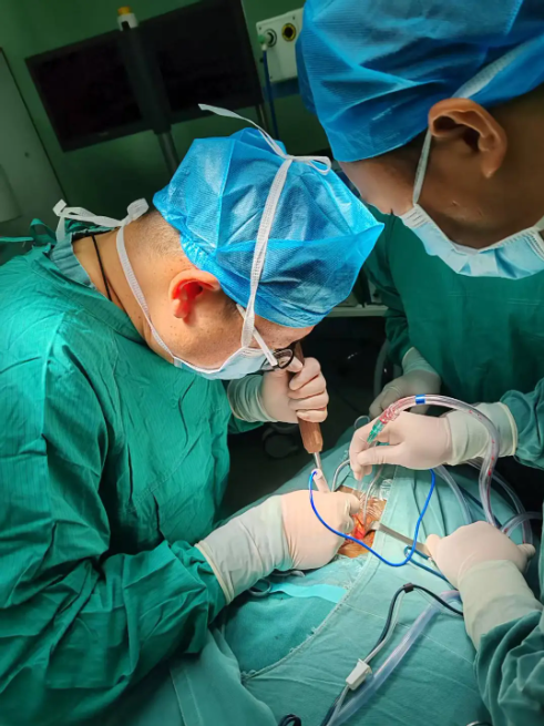 1768279335558733.png image.png